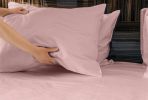 Luxuriously Soft 100% Viscose Derived from Bamboo 4-Piece Sheet Set , Oeko-TEX Certified, Queen - Pale Rose