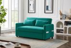 Leisure Loveseat Sofa for Living Room with 2 pillows